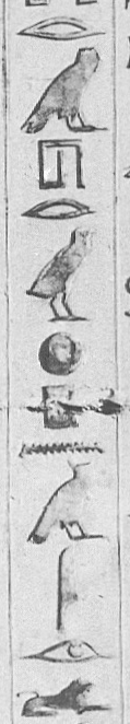 Photographed column of hieroglyphs, Pyramid of Unas plate 20 (col 3)